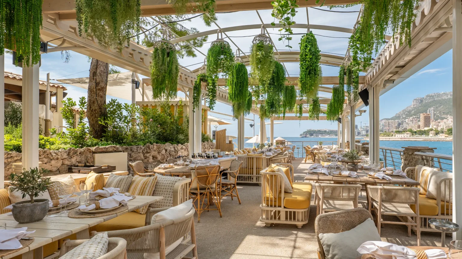 taras ogrodowy z zawieszoną zielenią na dachu