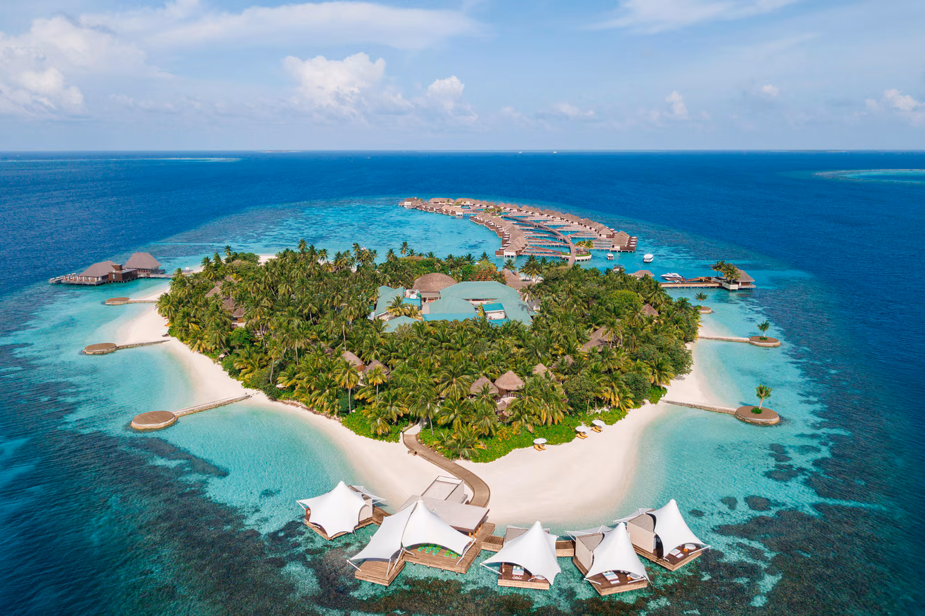 w maldives carter (1)