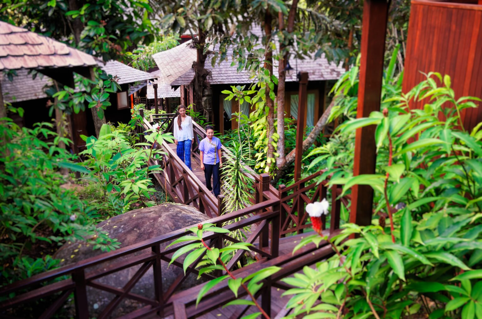 Bungaraya, luksusowe hotele w Malezji, ekskluzywne wycieczki do Malezji, podroze do Malezji szyte na miare 16