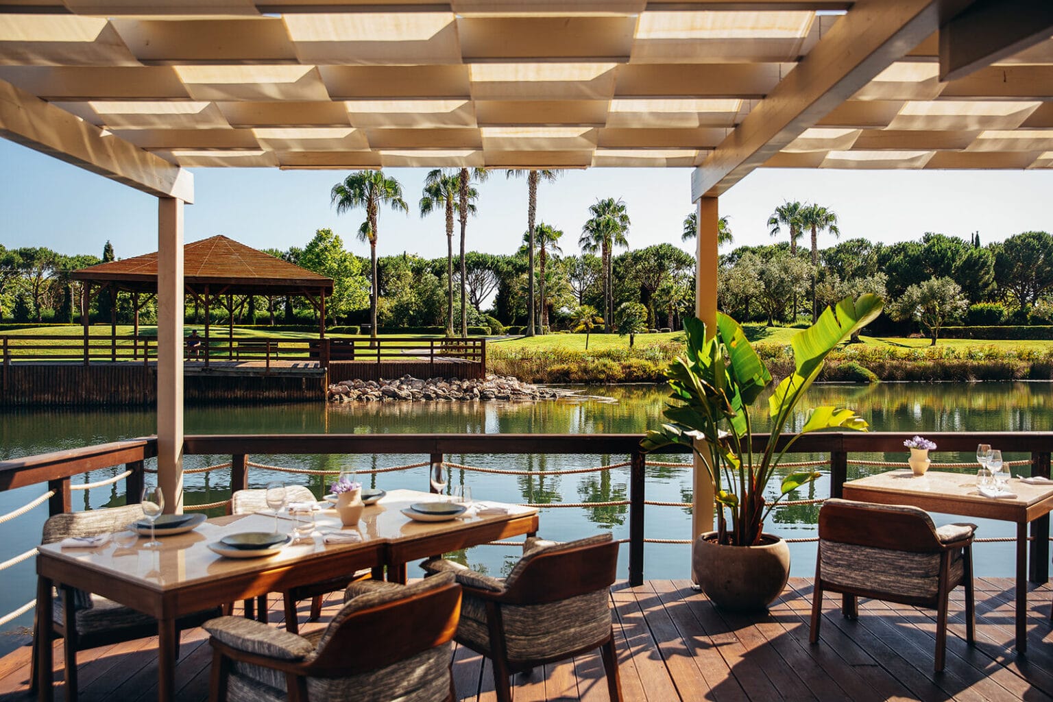 blend nikkei & wine (13) medium