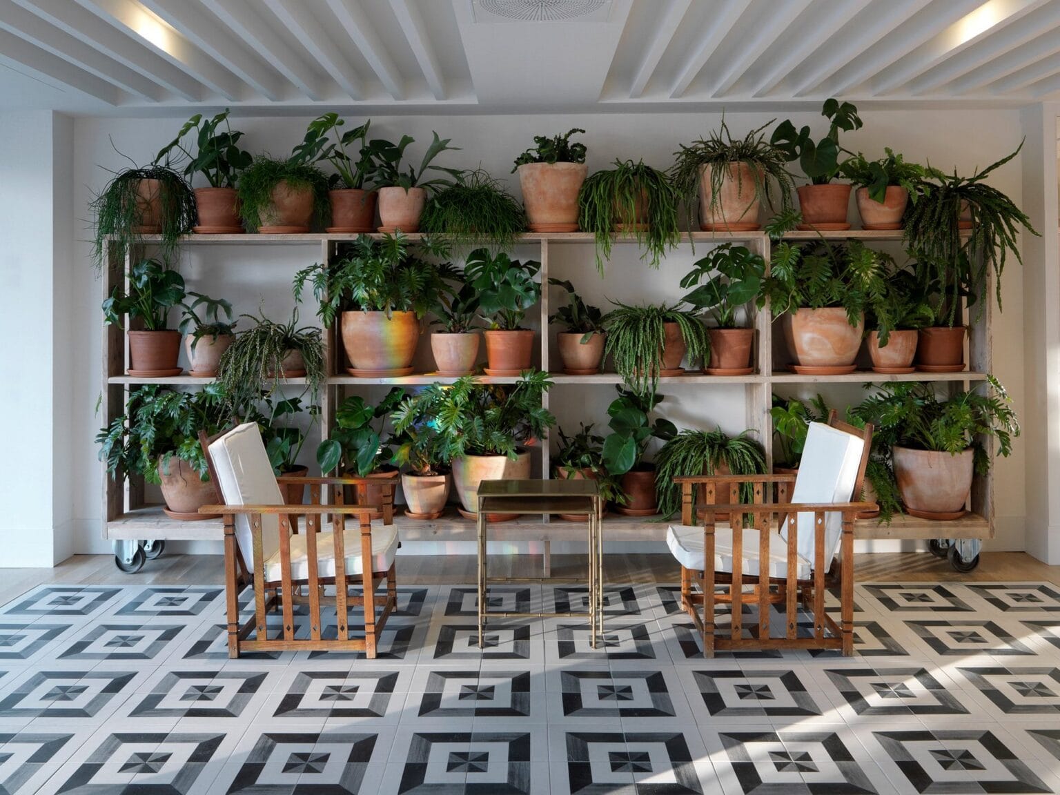 camiral golf & wellness rośliny