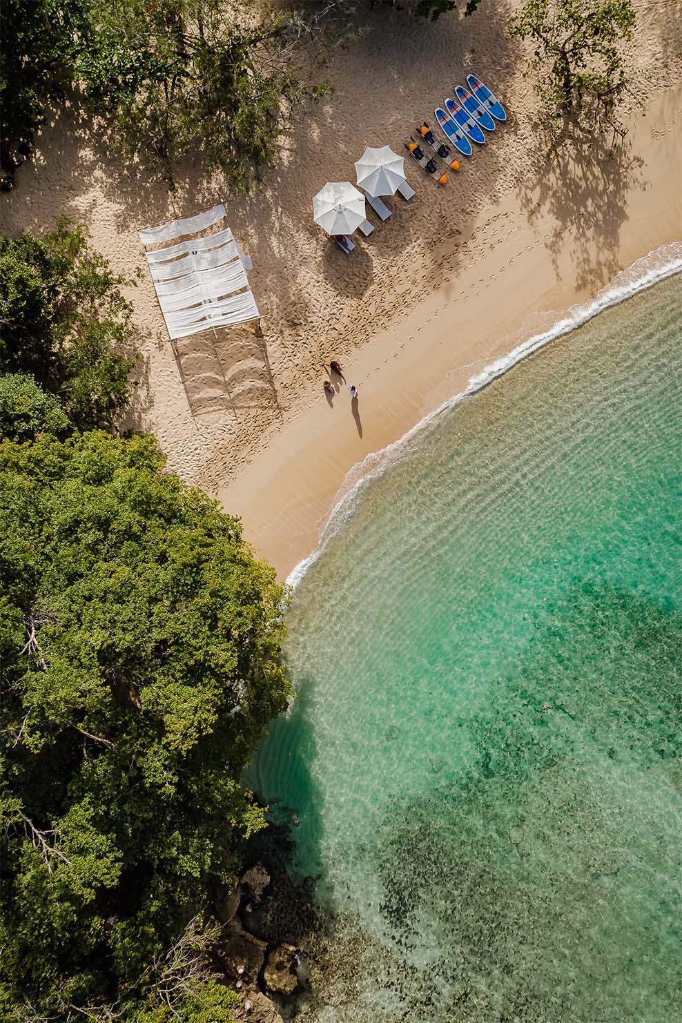 ani dominican republic guest privileges beach bbq drone 3