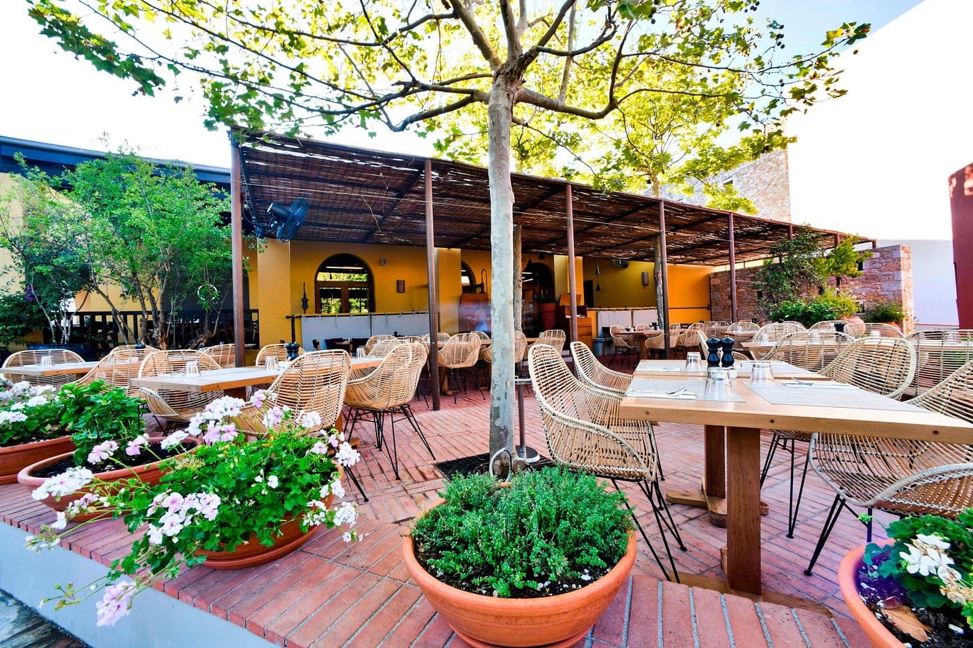 the romanos kooc taverna secrets