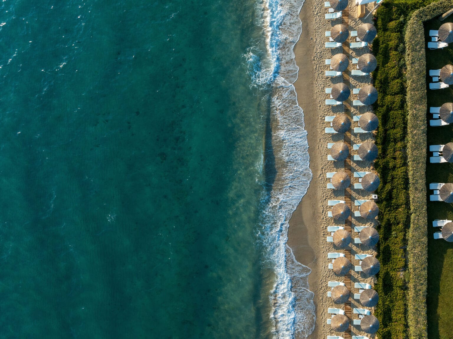 domes noruz kassandra carter (12)