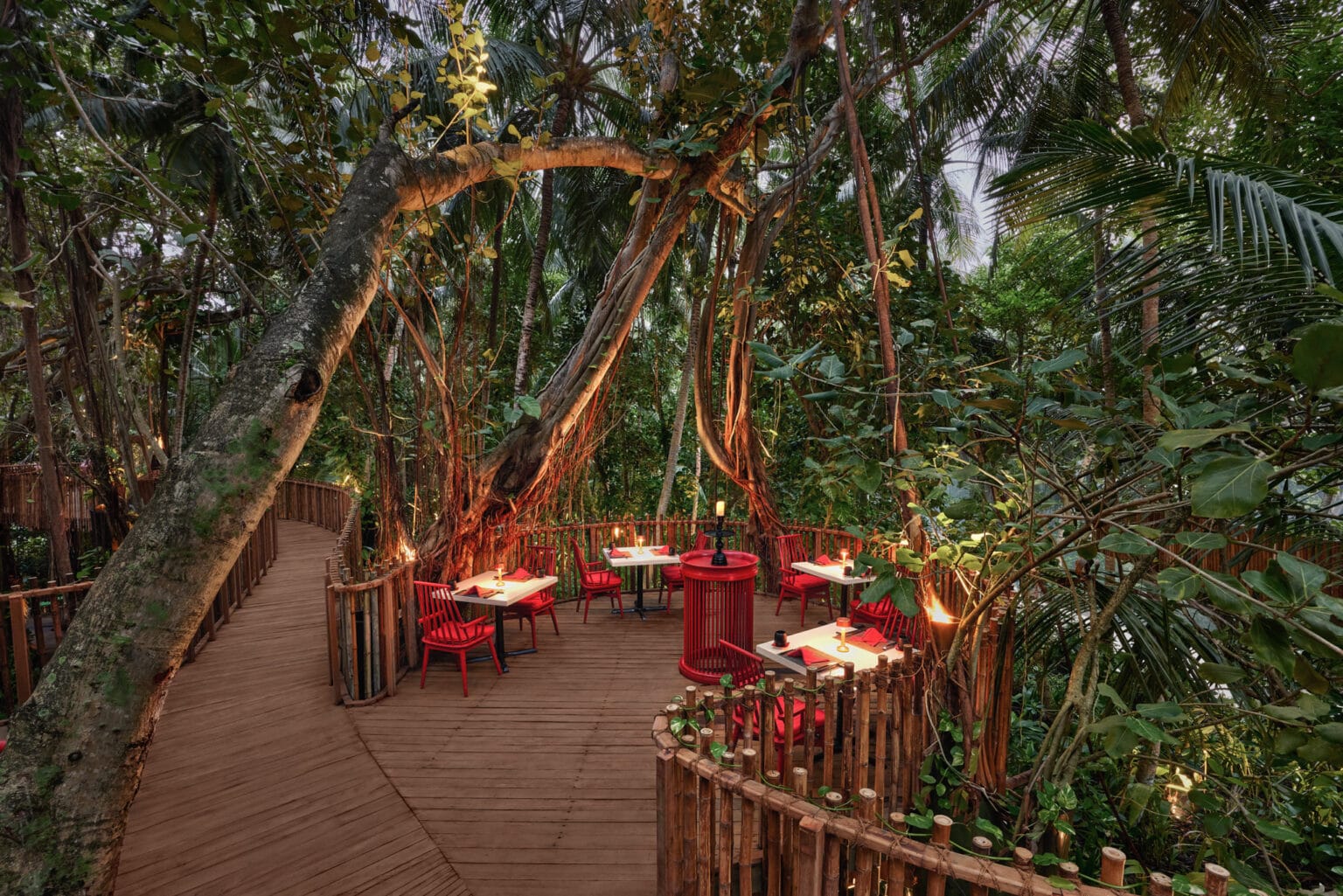 niyama private islands nest tree top dining