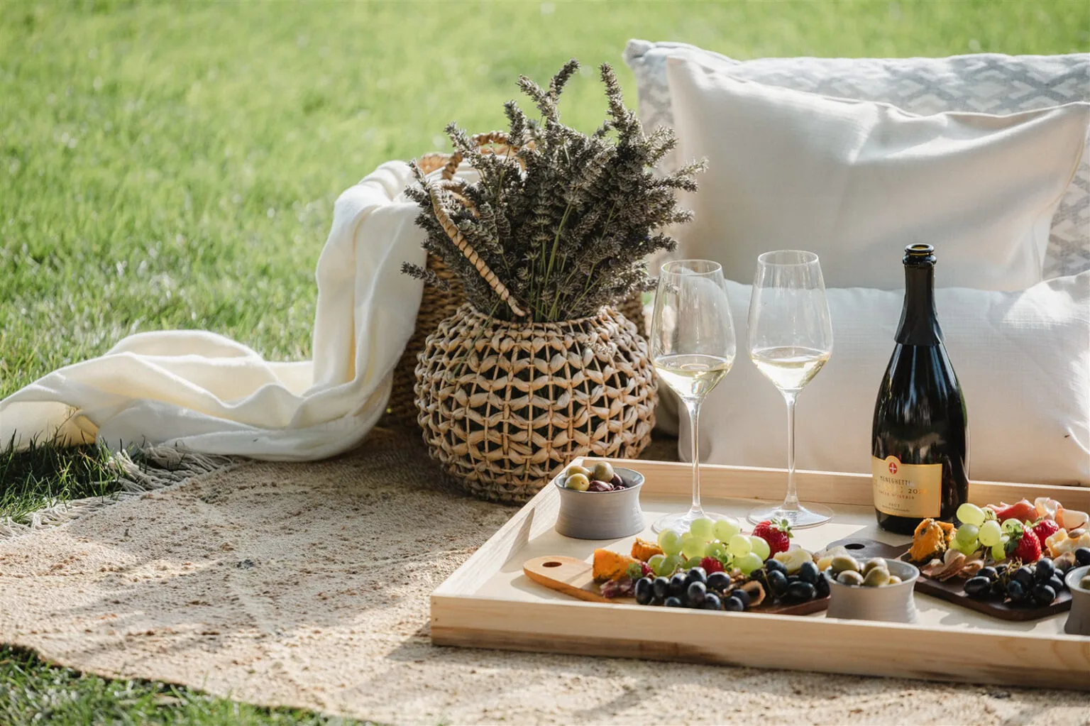 Менегетті 2025