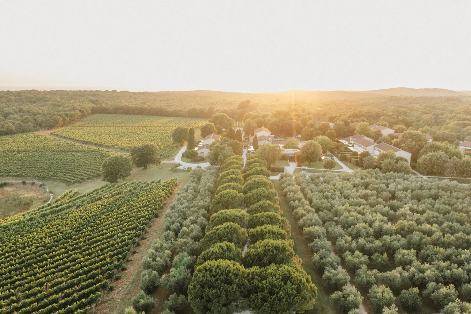 Менегетті 2025