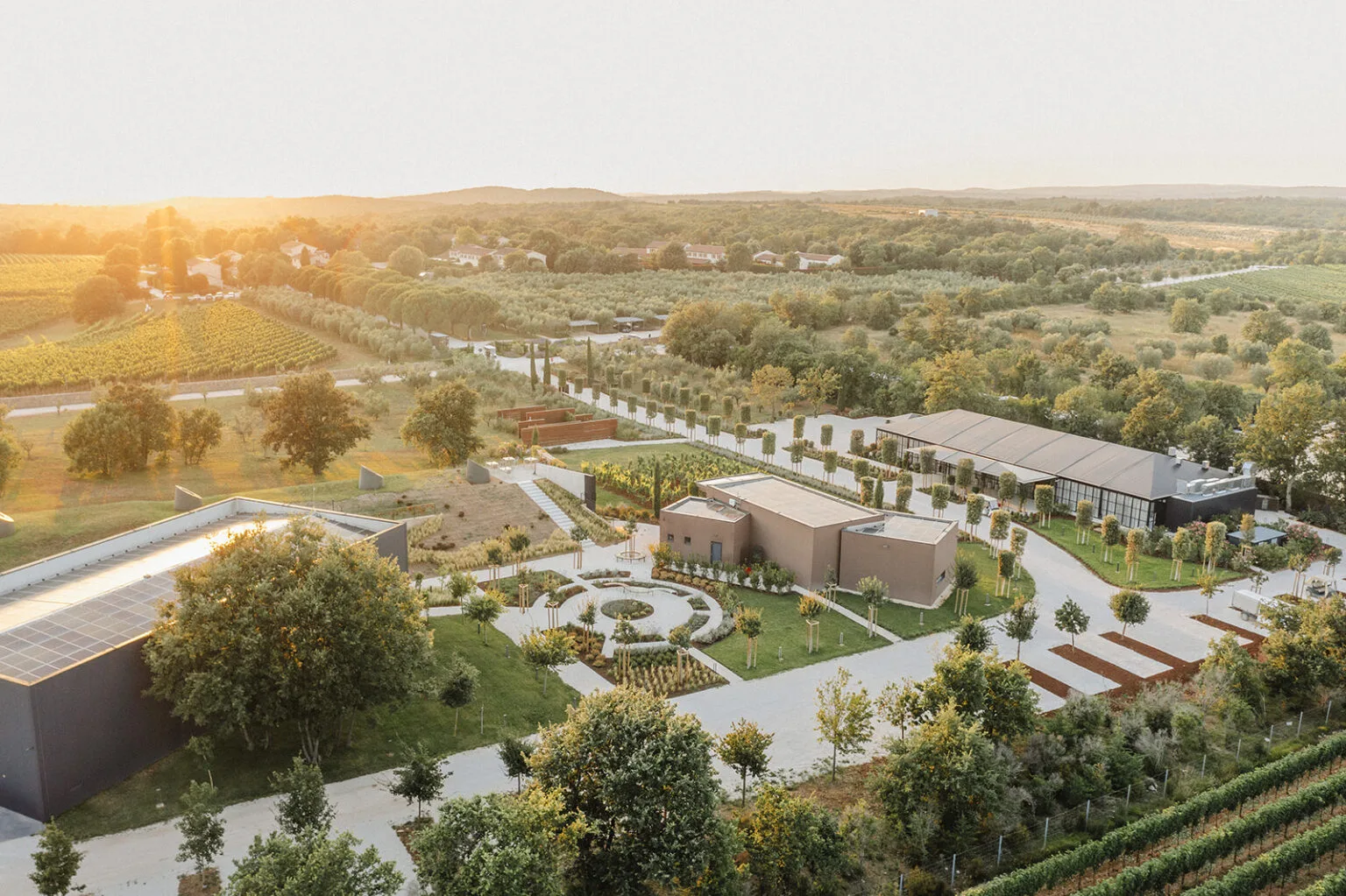 Менегетті 2025