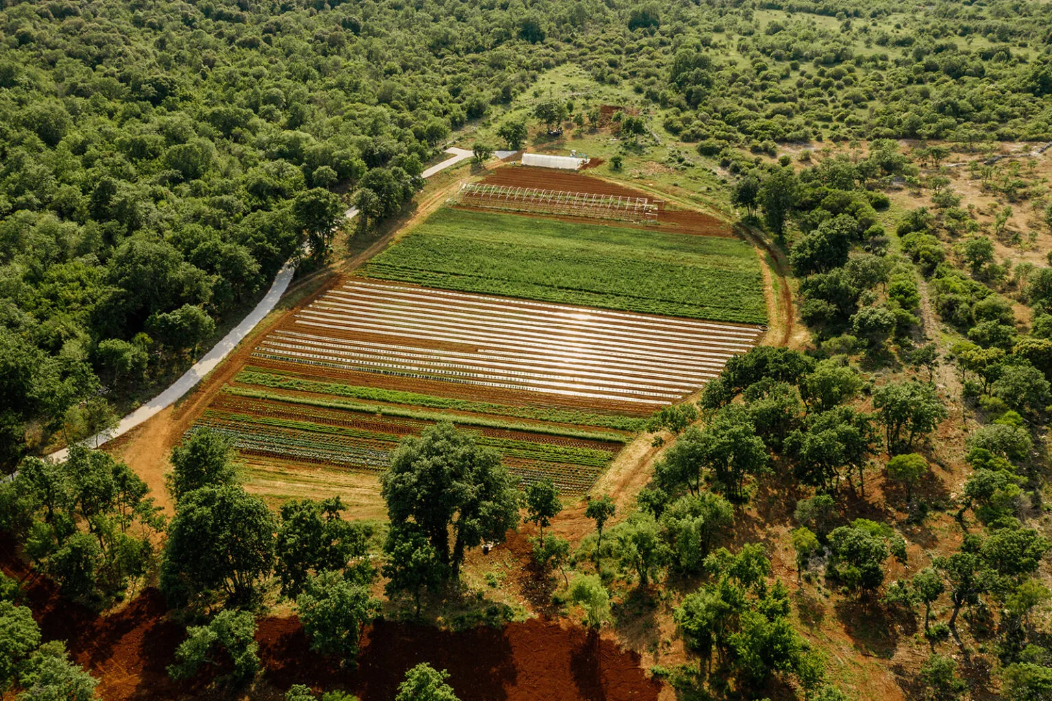 Менегетті 2023