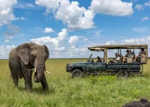 angama mara luxury safari