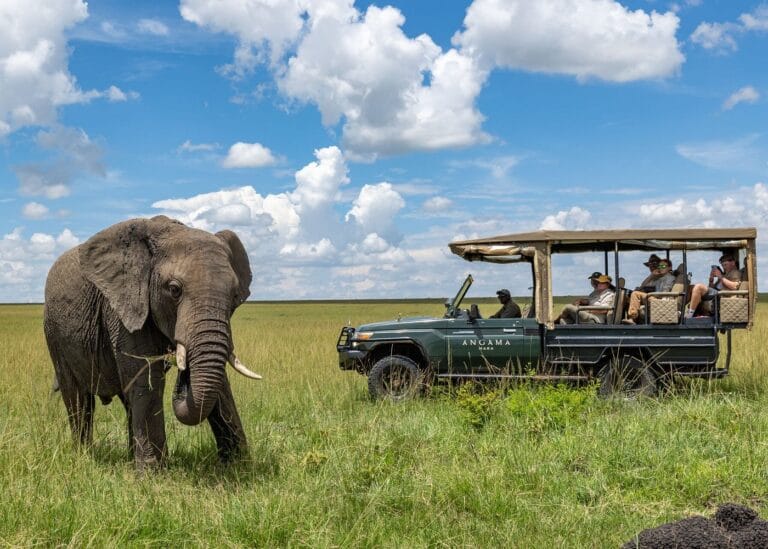 angama mara luksusowe safari