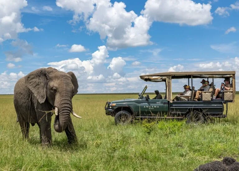 angama mara luxury safari