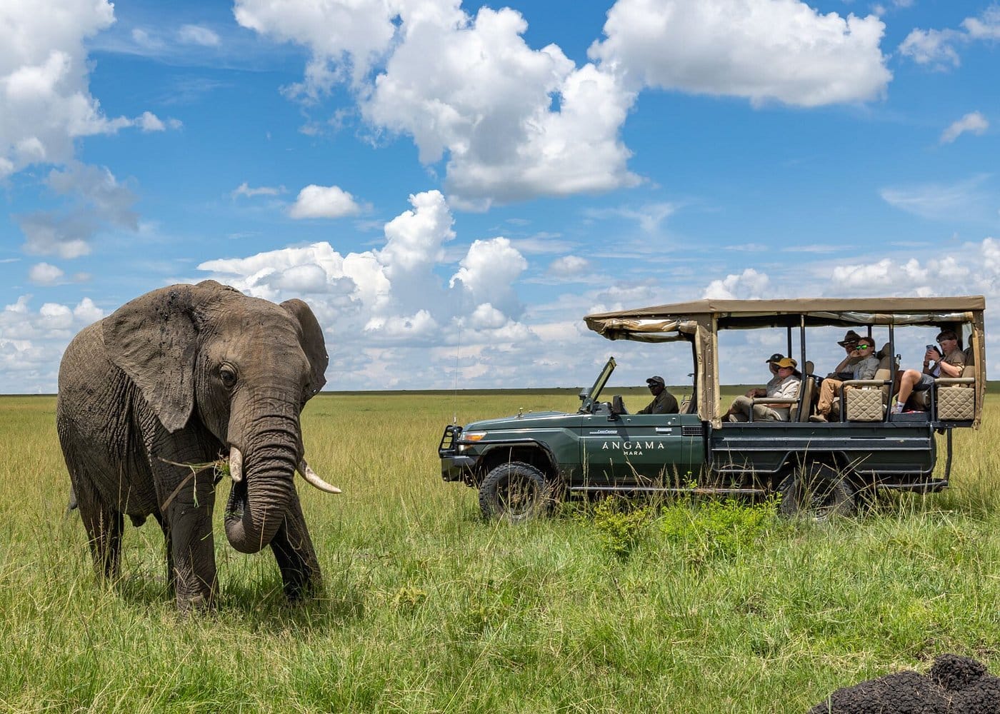angama mara luksusowe safari