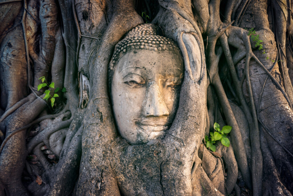 Sri Lanka - najważniejsze atrakcje turystyczne i pomniki z listy UNESCO,Dawne miasto Sigiriya,czyli „Lwia skała”,Kandy - Święte miasto buddyzmu,Fort w Galle - zespół zabytkowy,Rezerwat leśny Sinharaja,Płaskowyż Centralny Sri Lanki,Poszukujesz pomysłu na 10-dniową wycieczkę po Sri Lance?,Sri Lanka- luksusowe wycieczki objazdowe i wakacje „szyte na miarę”