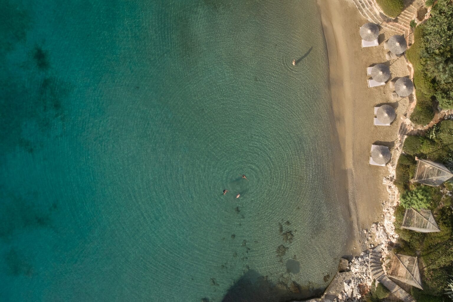 xr:d:dafidq6gq9g:1752,j:1861520889172444538,t:23110610