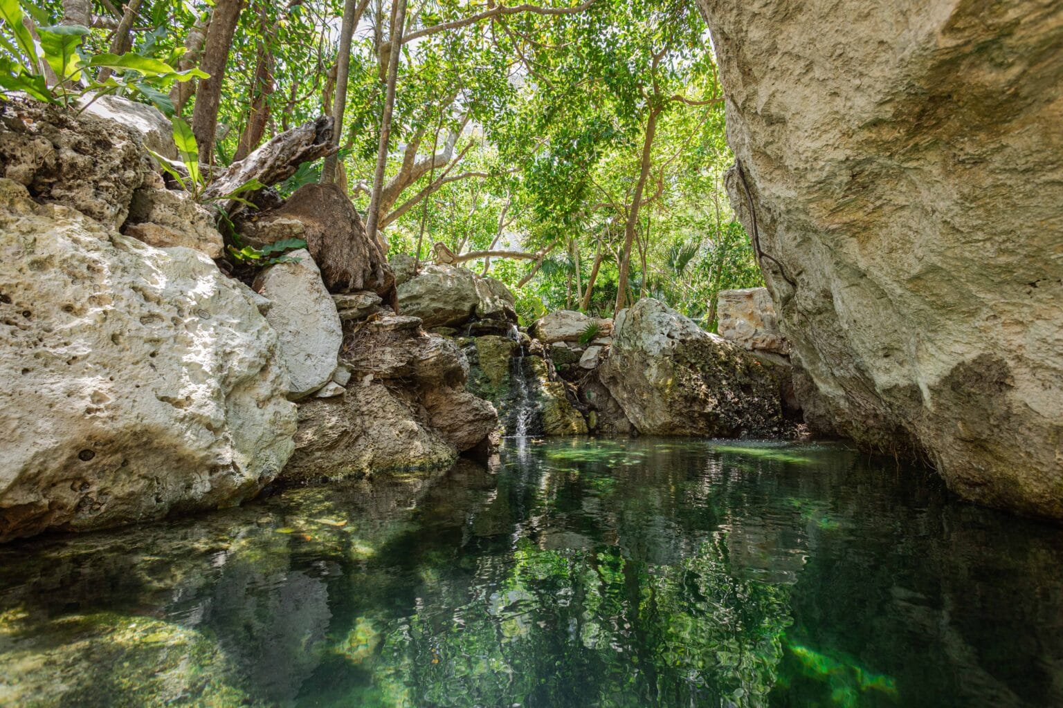 palmaïa, the house of aïa (7)