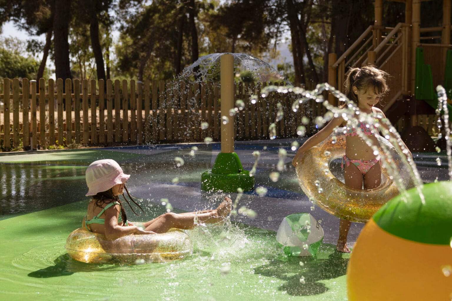 young setters club (7) medium