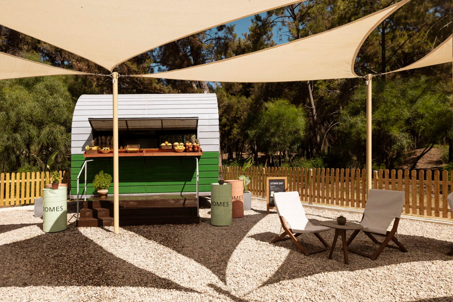 young setters club architecture (2) medium