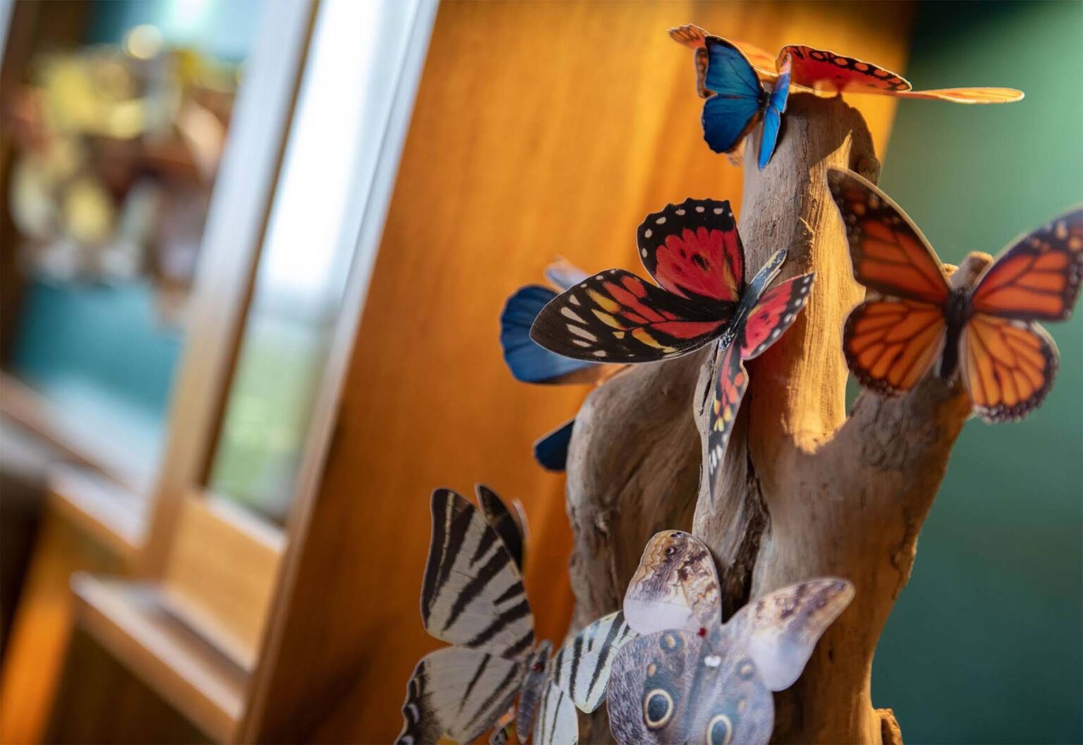 ORIGINS Luxury Lodge 2