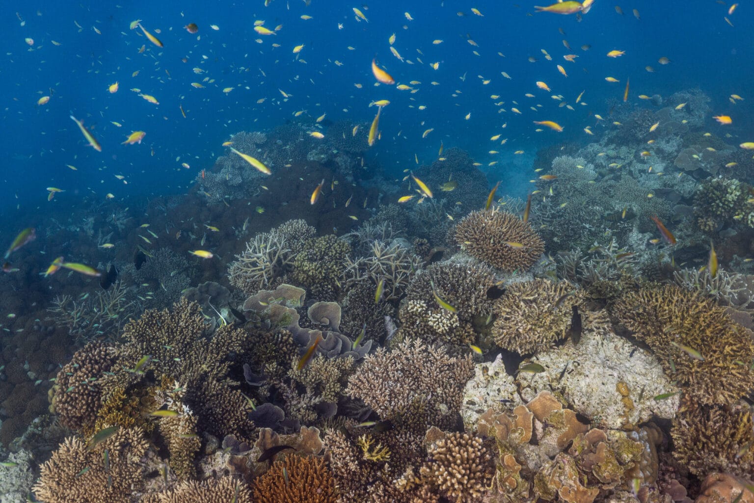 So Maldives, luksusowe wczasy na Malediwach 44