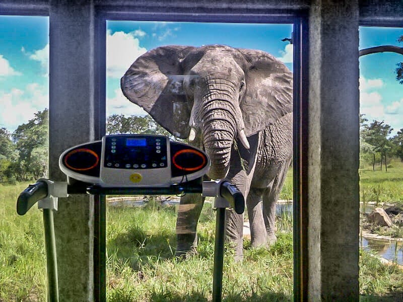 sabi sabi earth lodge biuro podróży carter (15)