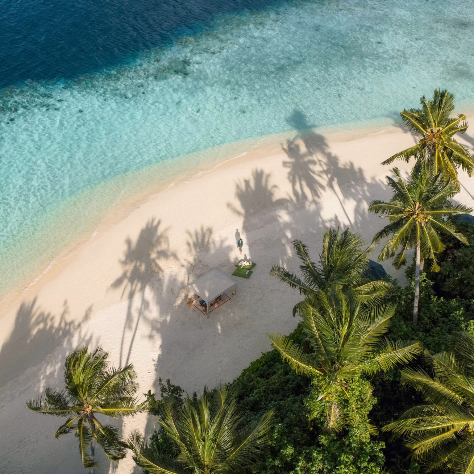 2dd46990044df8e8af3e61a9ecfddeca2b2d855f