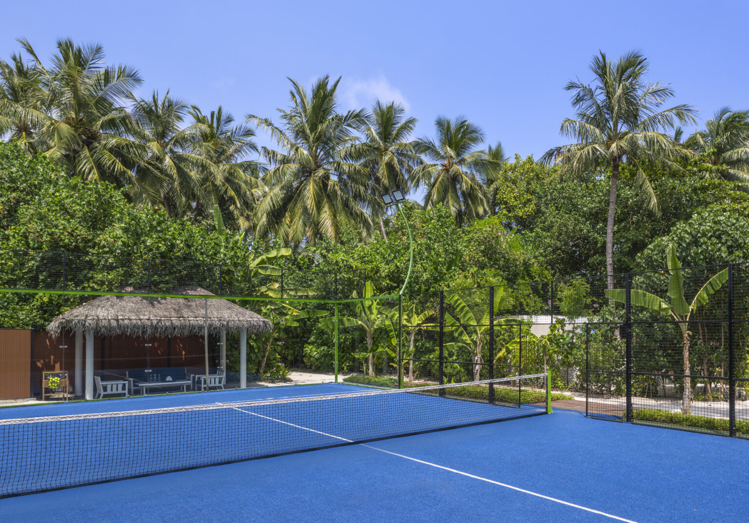 ak mlehp paddle court 02