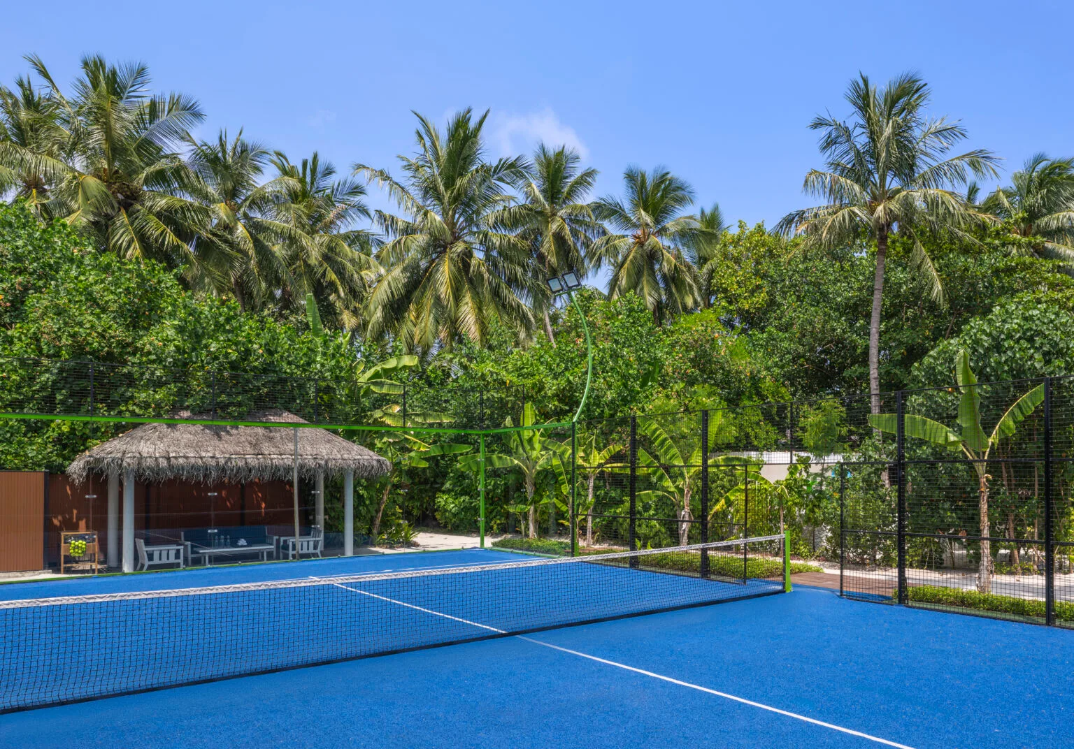 ak mlehp paddle court 02