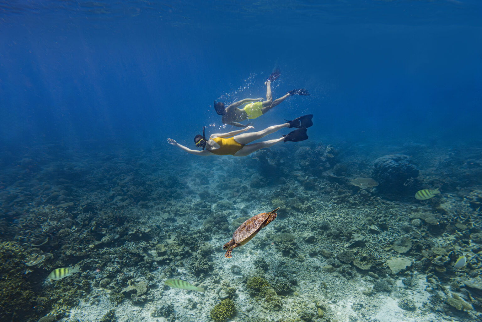 c:dcim100goprogopr1506.gpr