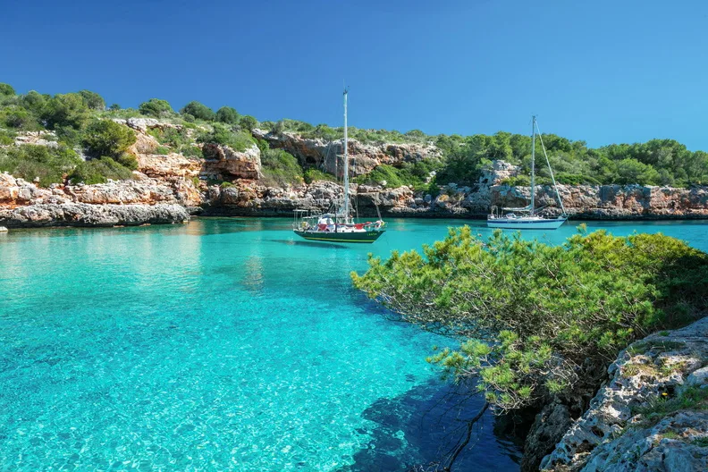 bvh 1111341 s 792x528