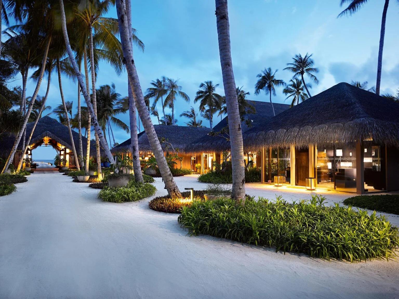 view of buildings surrounded by palm trees in a rustic style