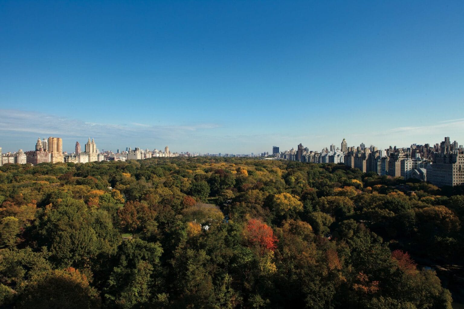 4-wyprawy-usa-nowy-york-central-park.jpg