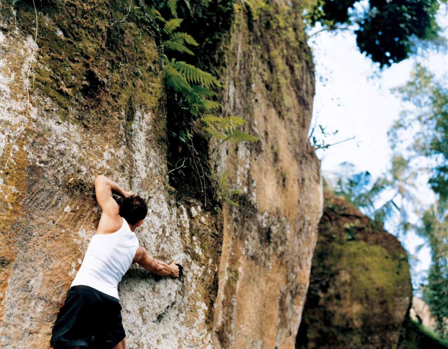 44165665-H1-climbing_2.jpg