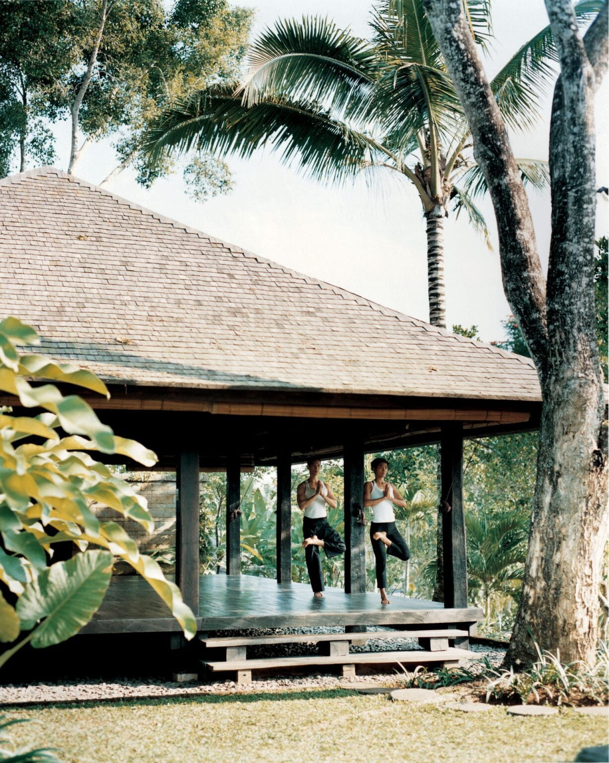 44165945-H1-yoga_pavilion.jpg