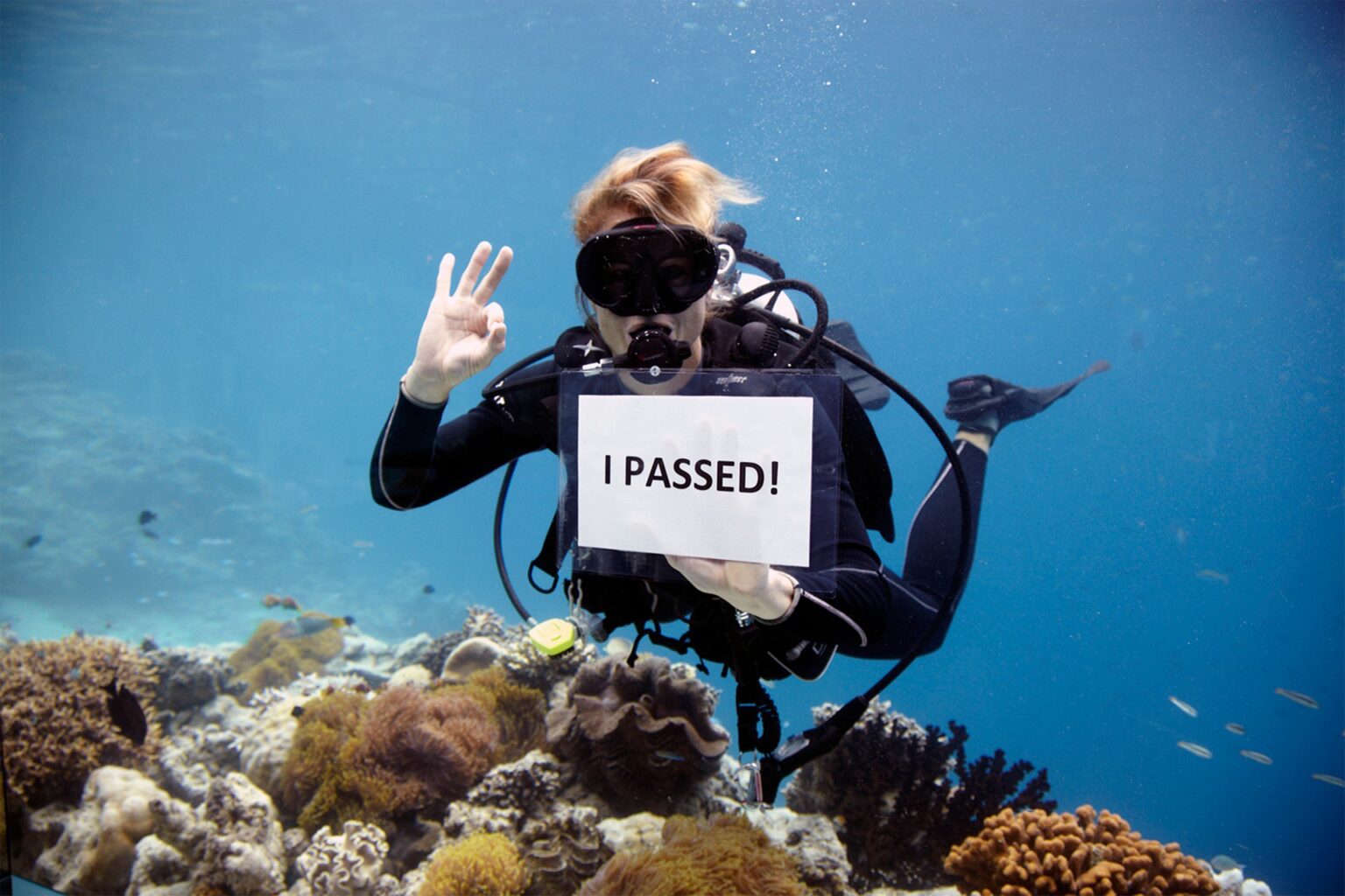 61620276-H1-Elements_Water_Sports_Scuba_Diving_Course.jpg