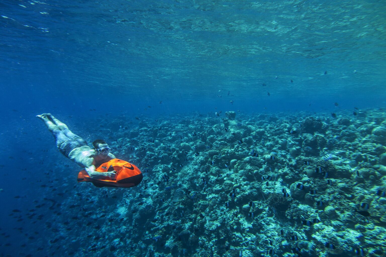 61620284-H1-Elements_Water_Sports_Seabob.jpg