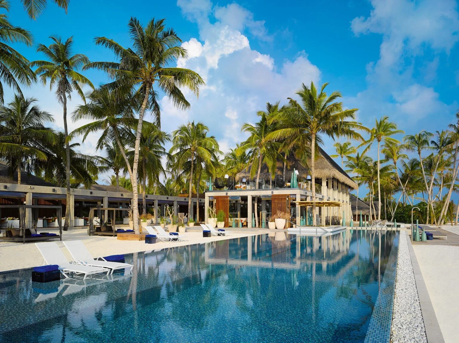 view of palm trees and the ocean
