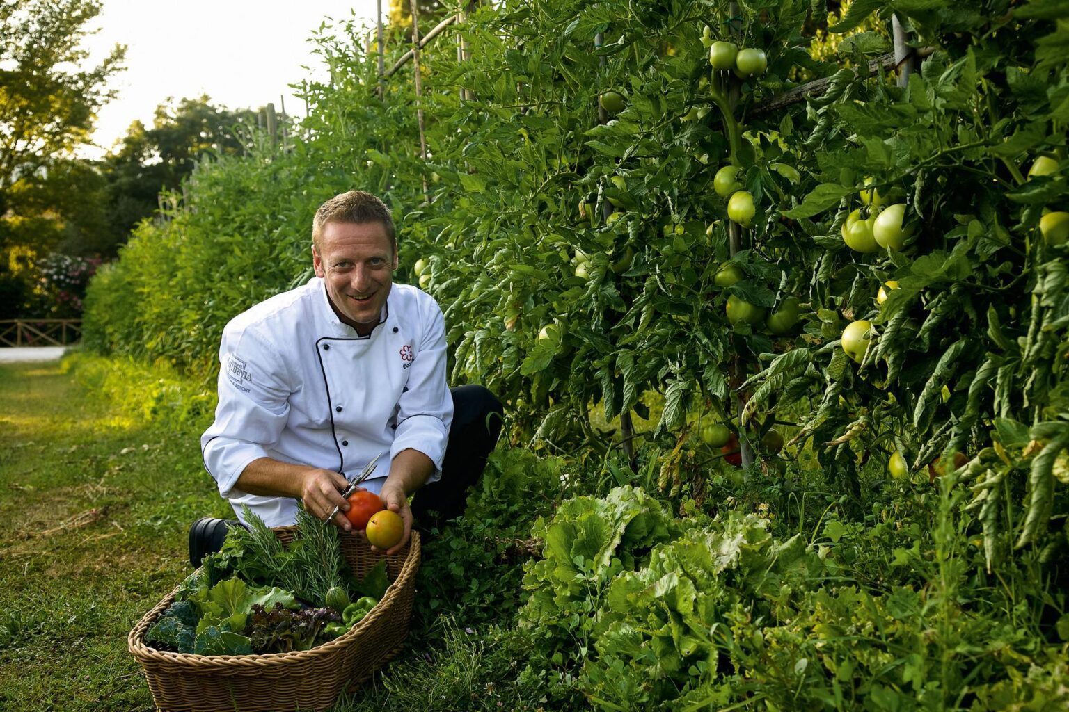 71630727-H1-Chef_in_the_vegetable_garden.jpg