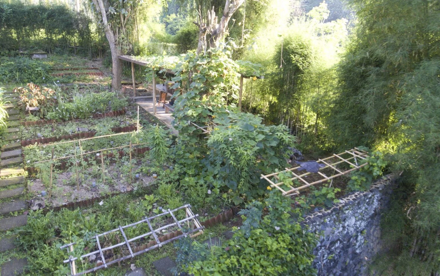 Алила-Убуд-Органический-Гарден-01.jpg