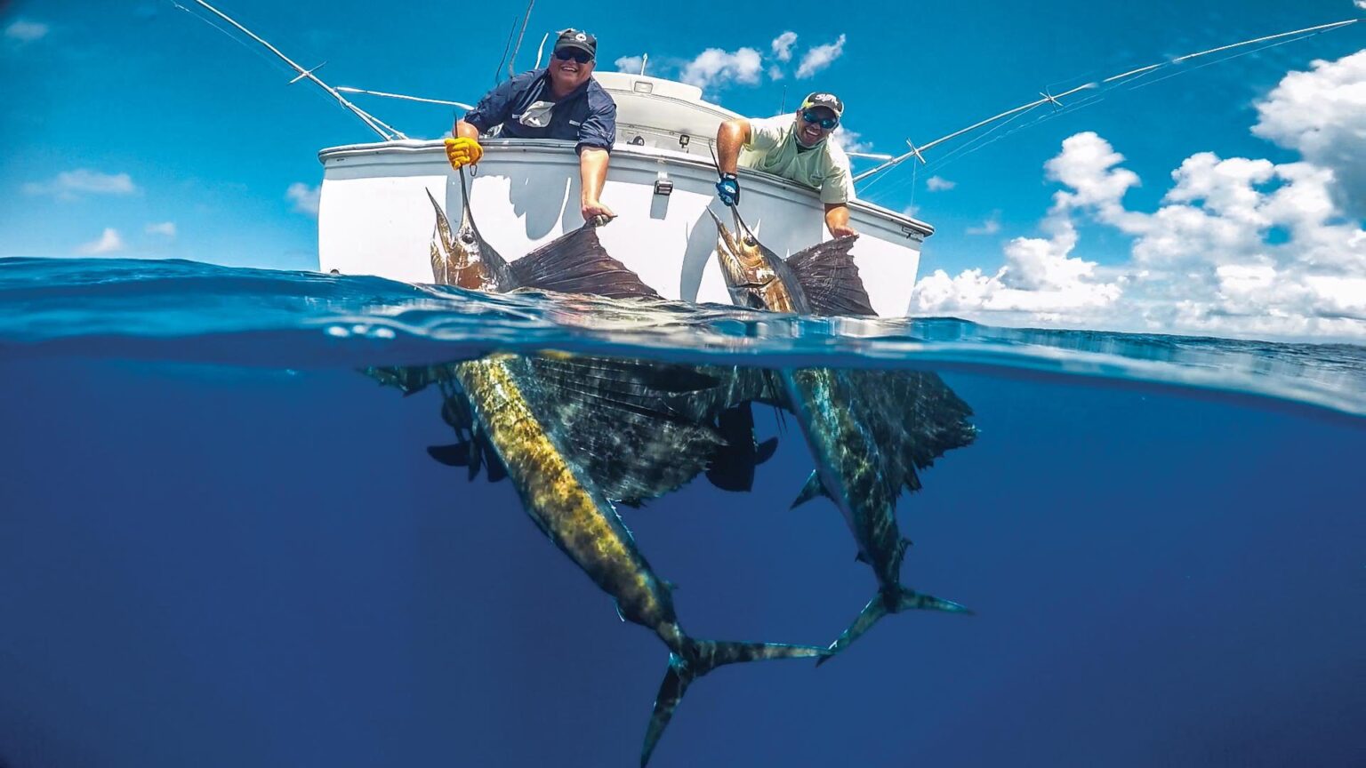 dwoje ludzi na łodzi wychyla się aby zobaczyć ryby prześwitujące przez wodę