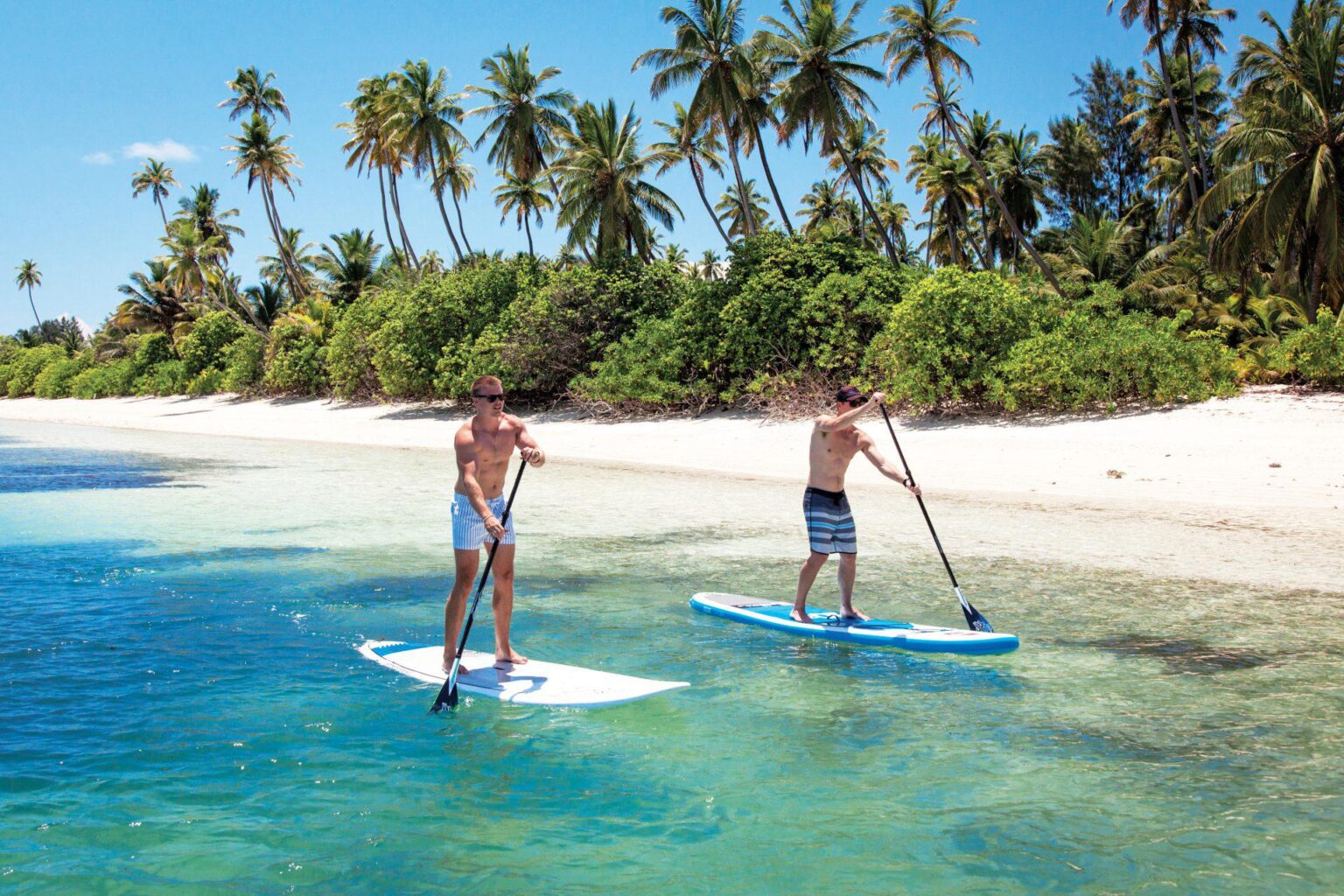 Dwoje mężczyzn pływających na deskach surfingowych bo wodzie