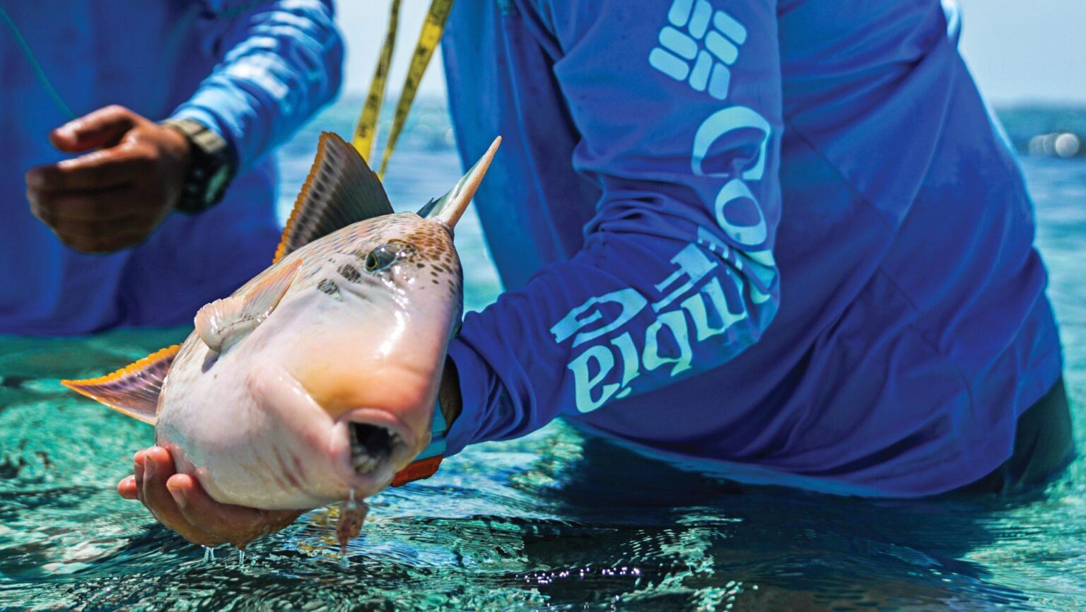 mężczyzna w stroju nurka pokazuje do obiektywu dużą rybę
