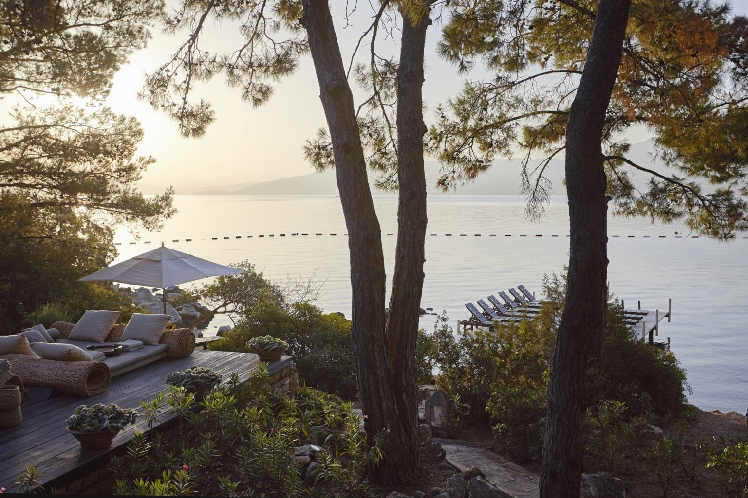 widok na drzewo w tle morze