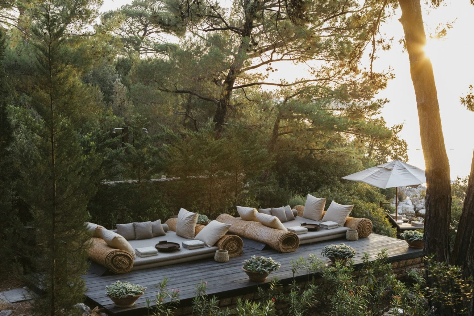 wypoczynek wśród drzew w trurcji