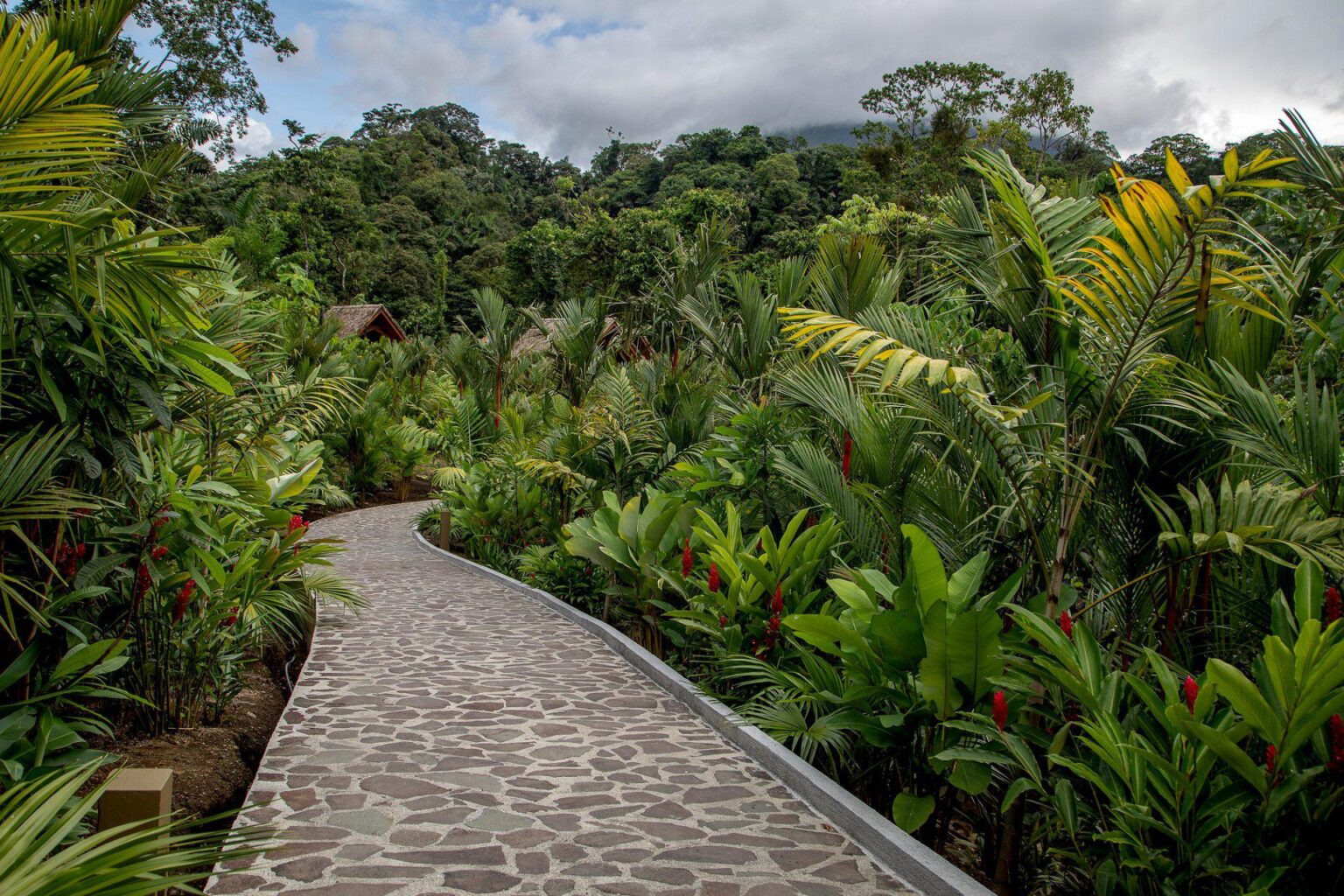 Amor-Arenal-najlepsze-hotele-w-Kostaryce-podroze-do-kostaryki-wycieczki-szyte-na-miare-do-Kostaryki-zwiedzanie-kostaryki-40.jpg