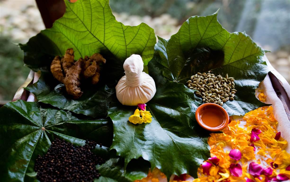 Ananda-in-The-Himalayas-Indie-luksusowe-hotele-w-indiach-ekskluzywne-wczasy-w-indiach-najlepsze-hotele-spa-w-indiach-3.jpg