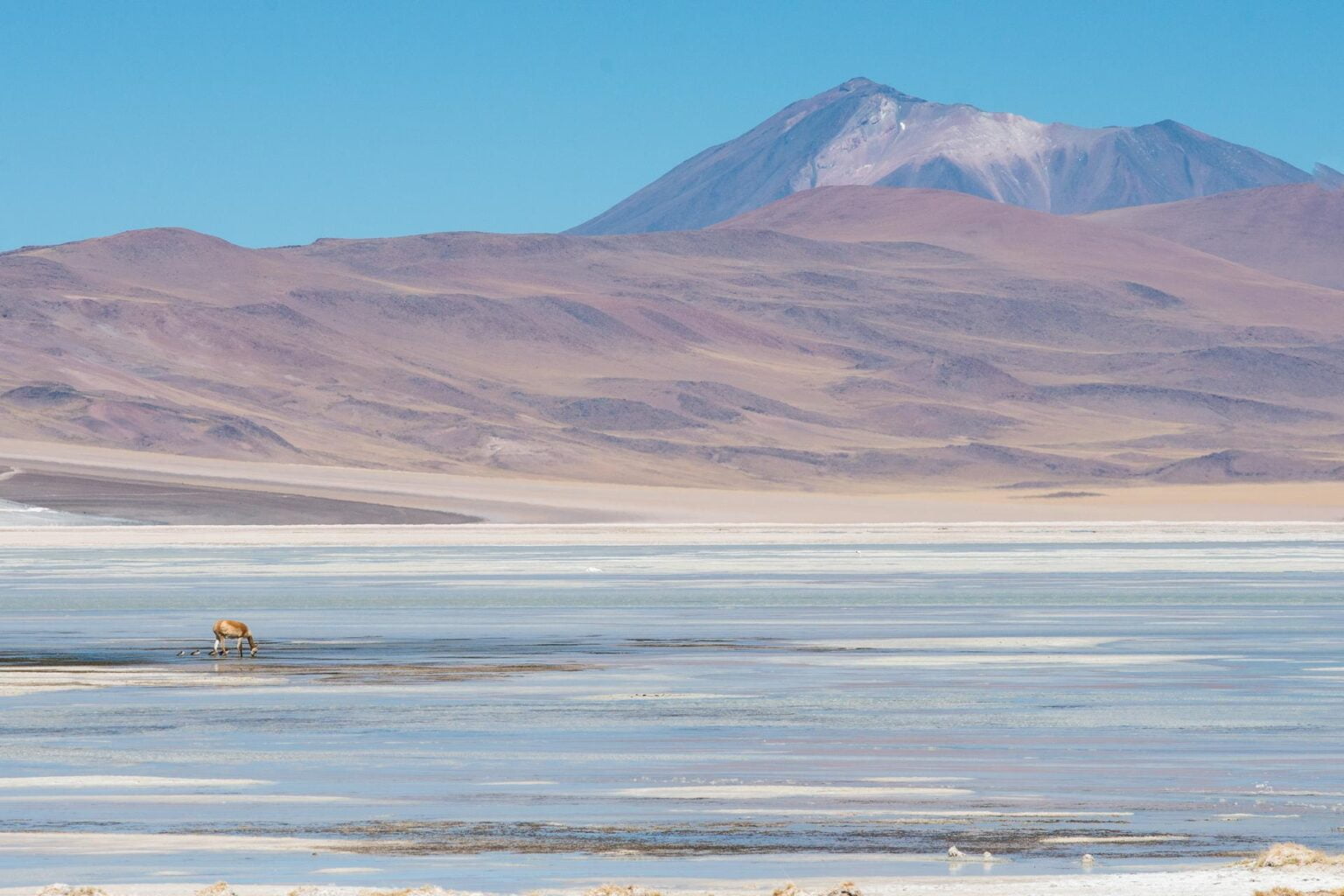 Atacama18.jpg