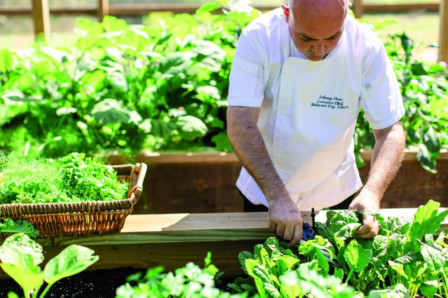 Belmond-Cap-Juluca-best-hotels-in-the-Caribbean-individed-tours-for-the-Caribbean-luxury-holidays-in-the-Caribbean-most-beautiful-caribbean-islands-exclusive-hotels- Caribbean-74.jpg