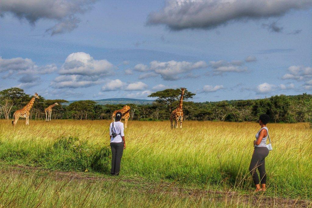 Bush-walk2-in-Lake-Mburo-NP.jpg