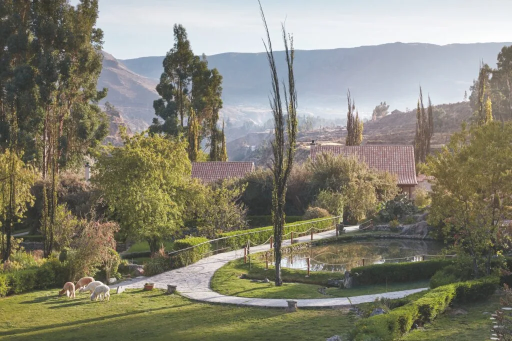 Kanion Colca – jeden z najgłębszych kanionów świata,Aktywny wypoczynek i przyroda Andów,Relaks,kultura Peru i pobyt z widokiem na góry,Pobyt w Belmond Las Casitas połącz z odkrywaniem Kanion Colca